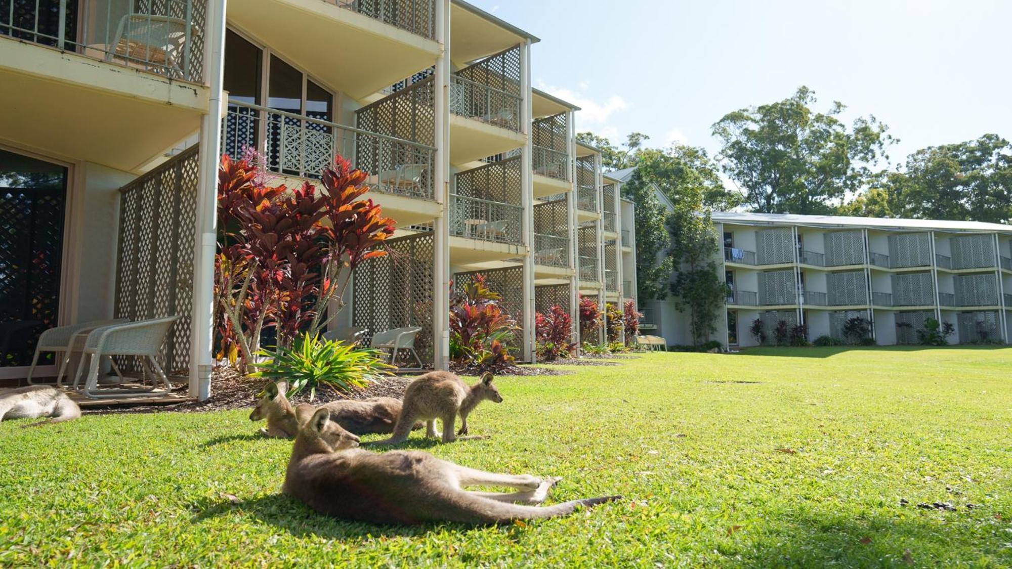 Intercontinental Sanctuary Cove Resort By Ihg Guldkusten Exteriör bild Kookaburra Sanctuary
